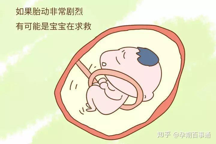 怀孕晚期一定要坚持数胎动！ - 知乎