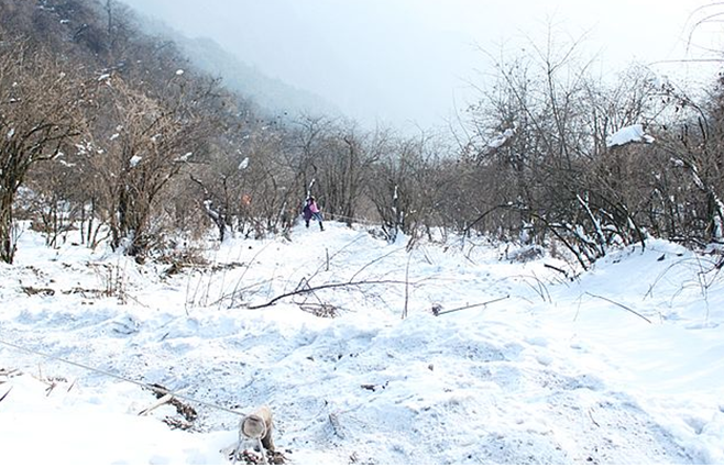 成都周边冬季一日游\/二日游景点推荐