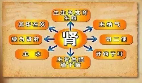 肾精是人体的电池,有精无精天壤之别!匹夫不可夺精也!