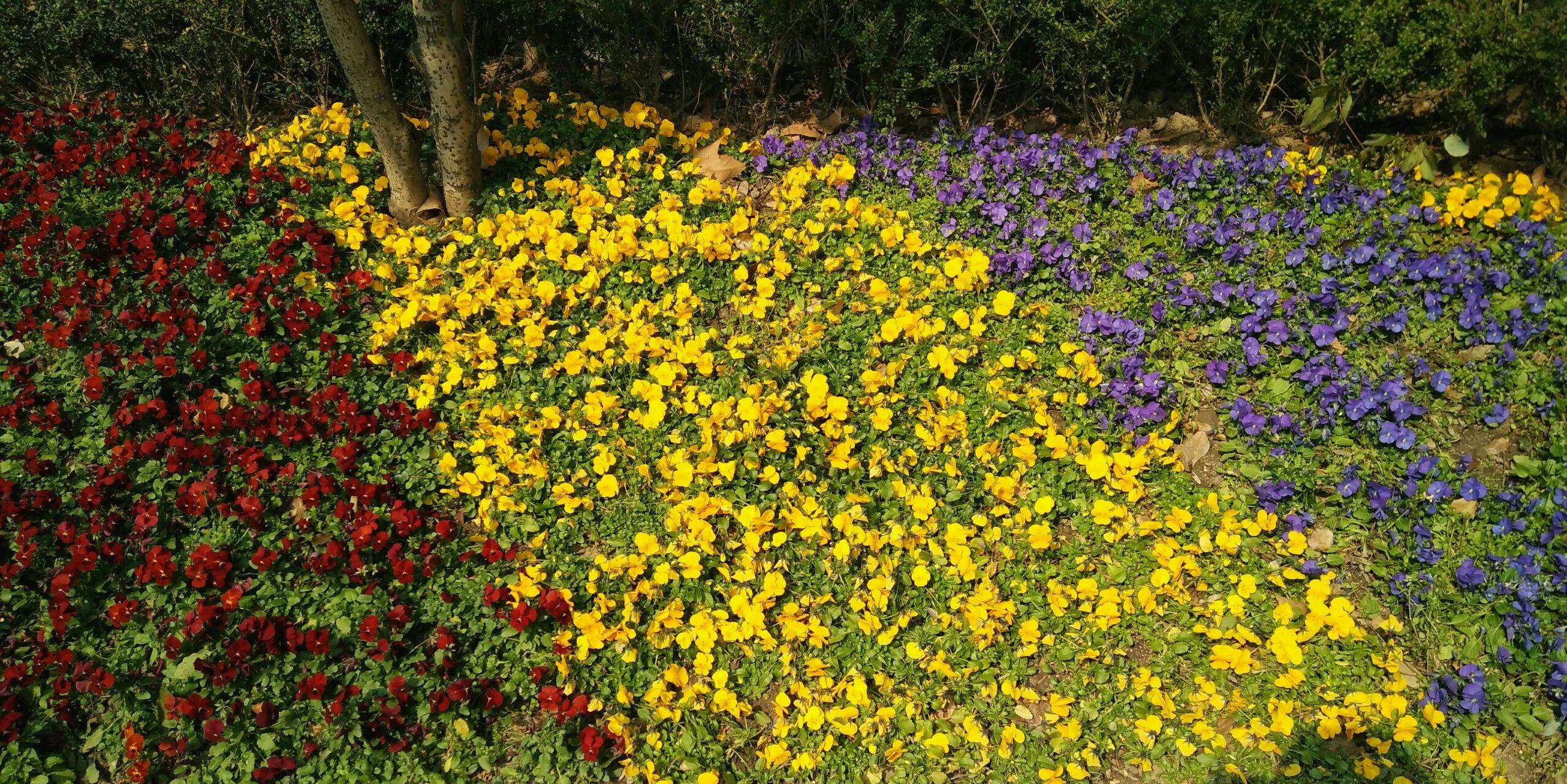 上海有哪些比较小众且有格调的去处 景点?