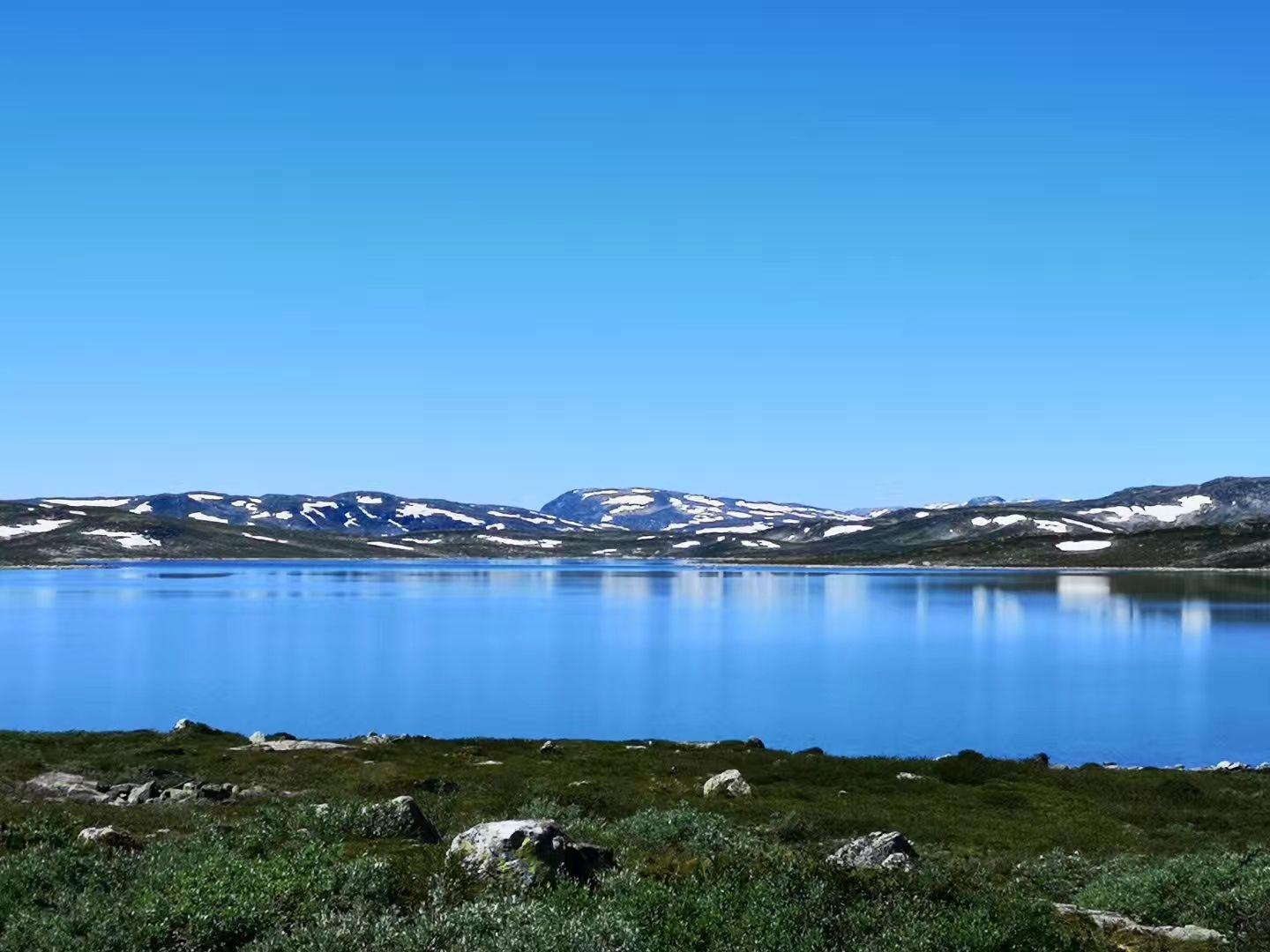 华为P20 pro 白天拍照效果感觉太假了,尤其是拍