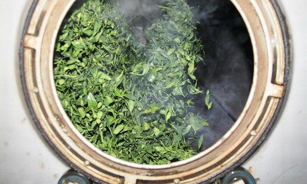 圖文詳解臺灣烏龍茶毛茶製作工藝