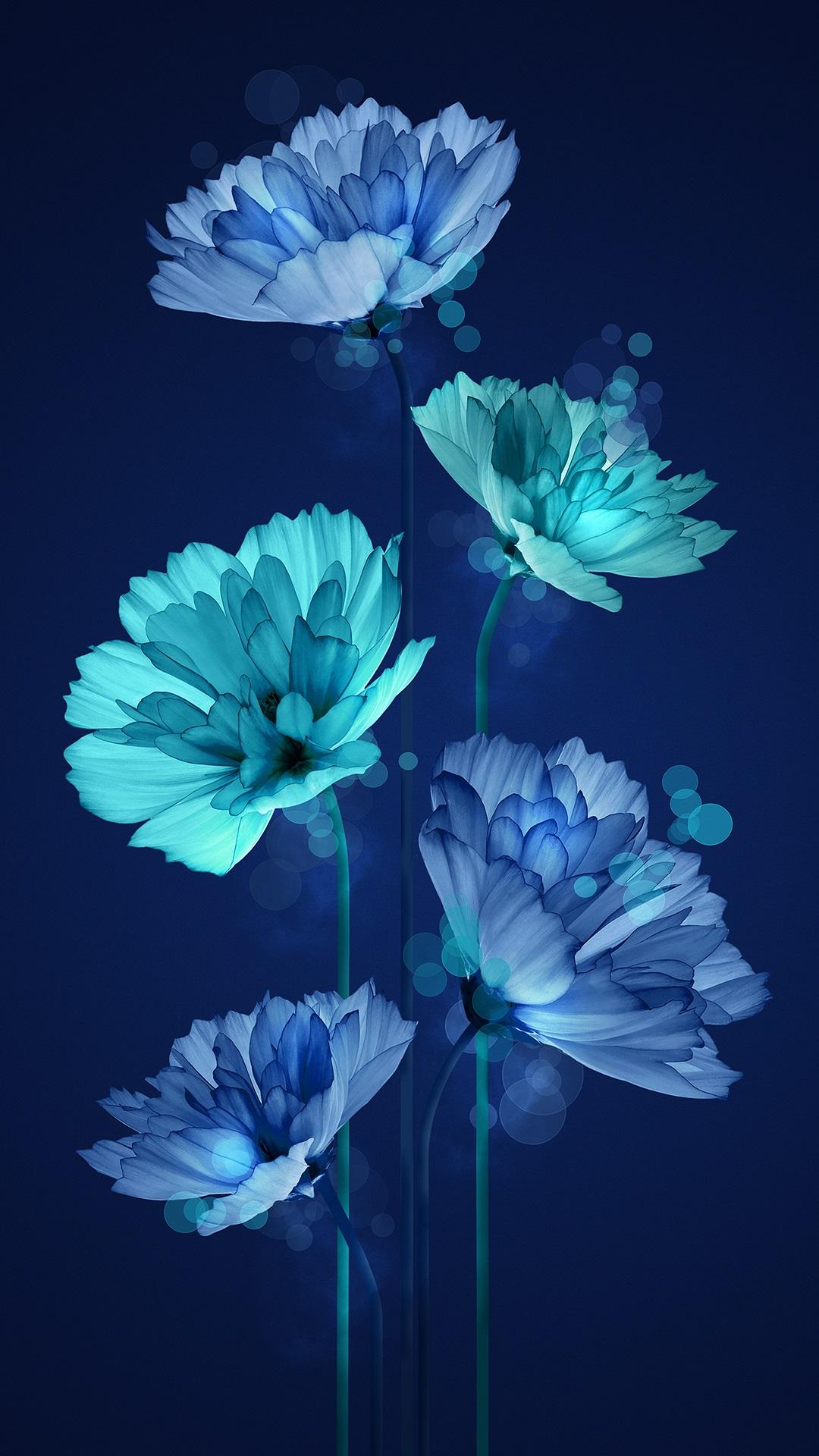 有没有具有色彩冲击力视觉冲击力的手机壁纸