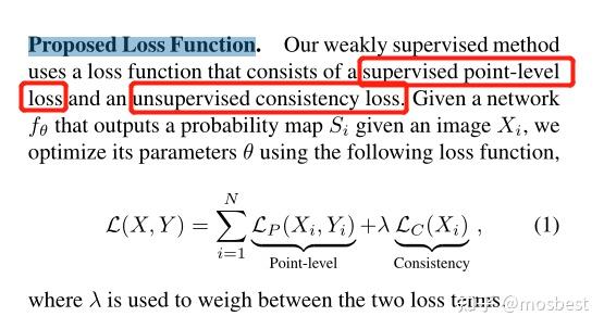 WACV2021:A Weakly Supervised Consistency-based Learning Method for ...