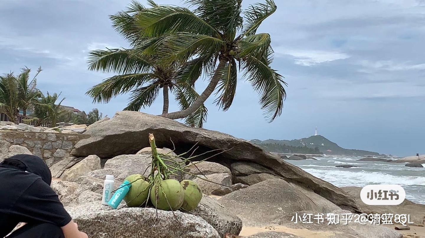 椰子水、椰浆和椰奶,都是怎么来的 - 知乎