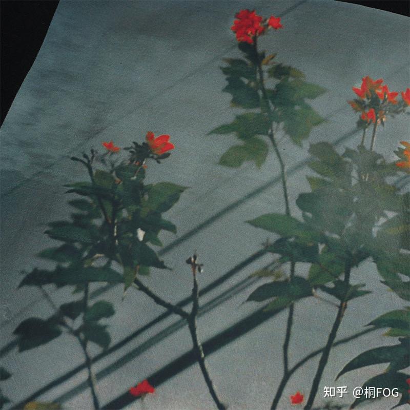 自主fearofgodfog副线花卉全系列做工细节解析