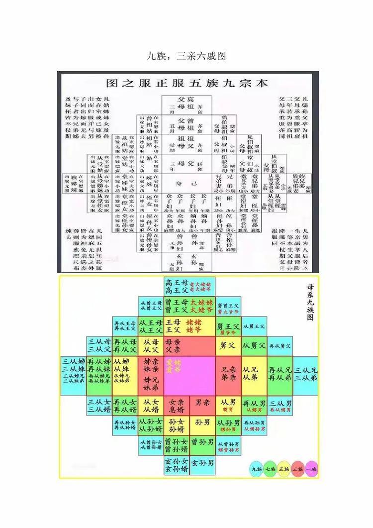 简解九族图 - 知乎