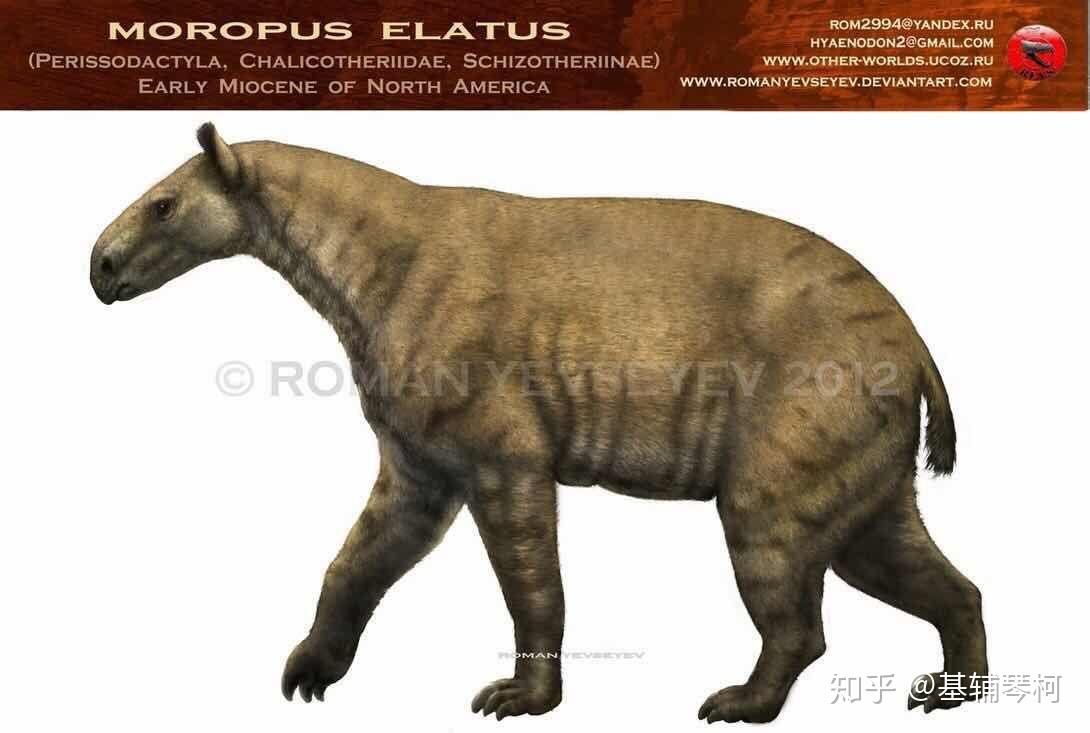 新生代巨兽猛兽与其他掠食者精简名录古兽争锋榜新近纪篇