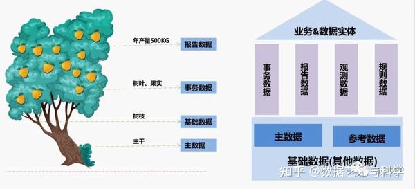 如何通过分类页优化提升网站整体权重与用户体验 (如何通过分类汇总功能求出每个班各科的平均成绩)