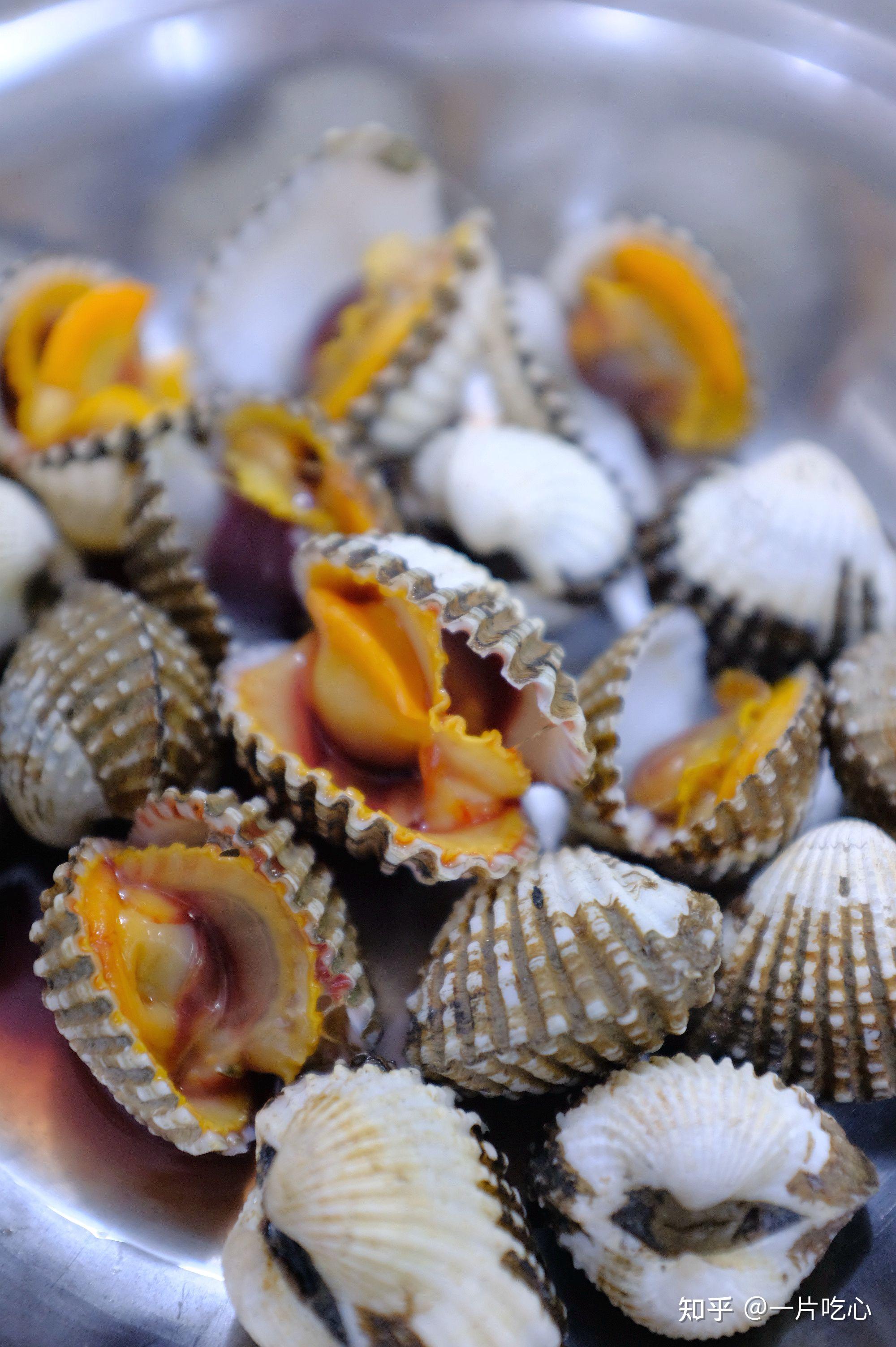 有血蚶和毛蚶的宵夜当得起一个猛字