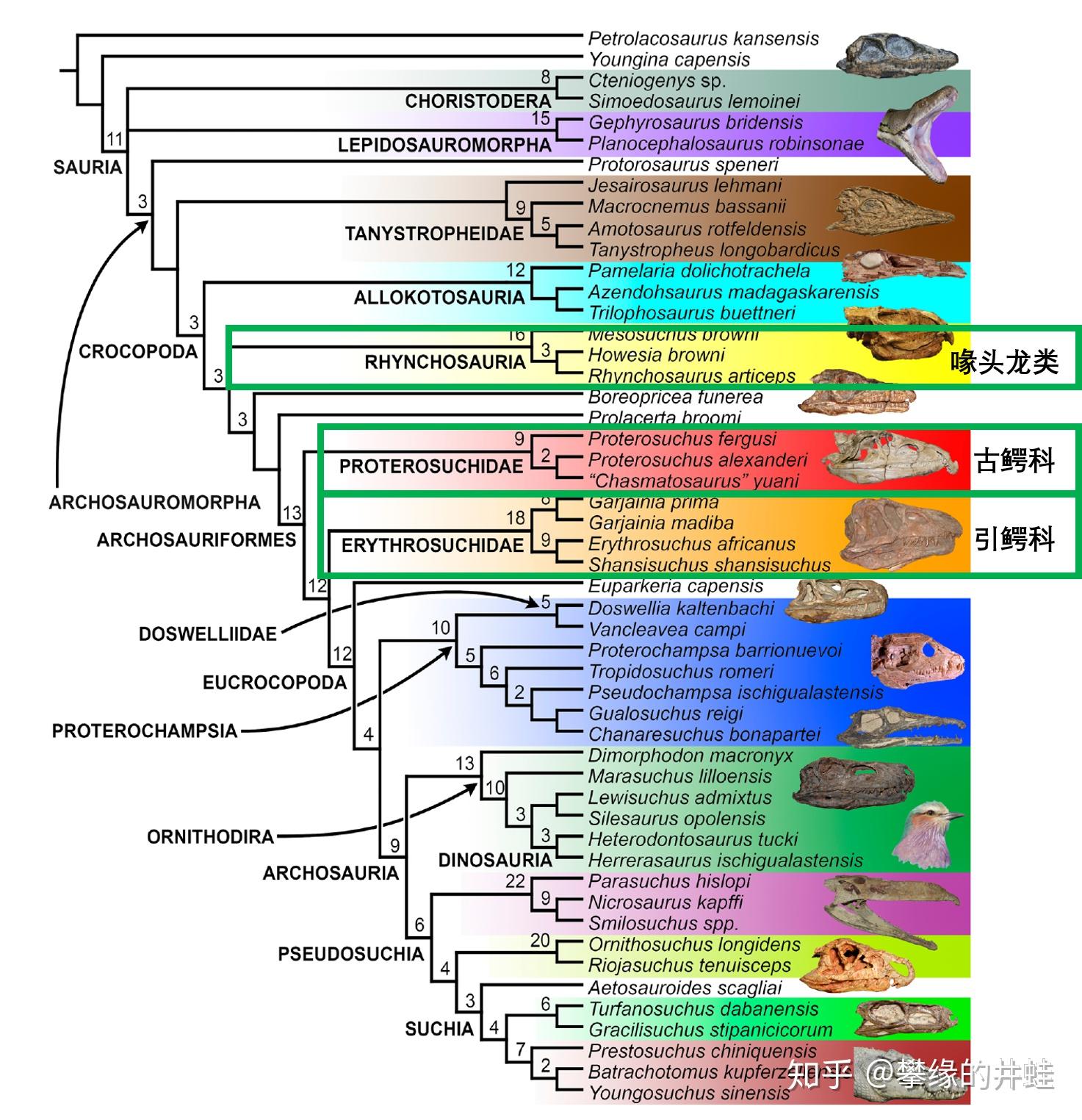 第二百五十九回九龙颂2百兽图11丑怪惊人能妩媚