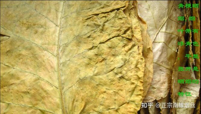 南雄烟丝青梗晒黄特醇南雄三宝简介