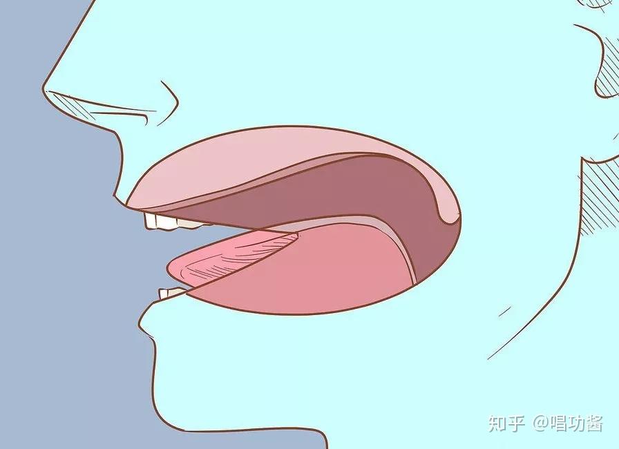  Foto zu 唱功揭秘：为什么一定要练声？ - 知乎 