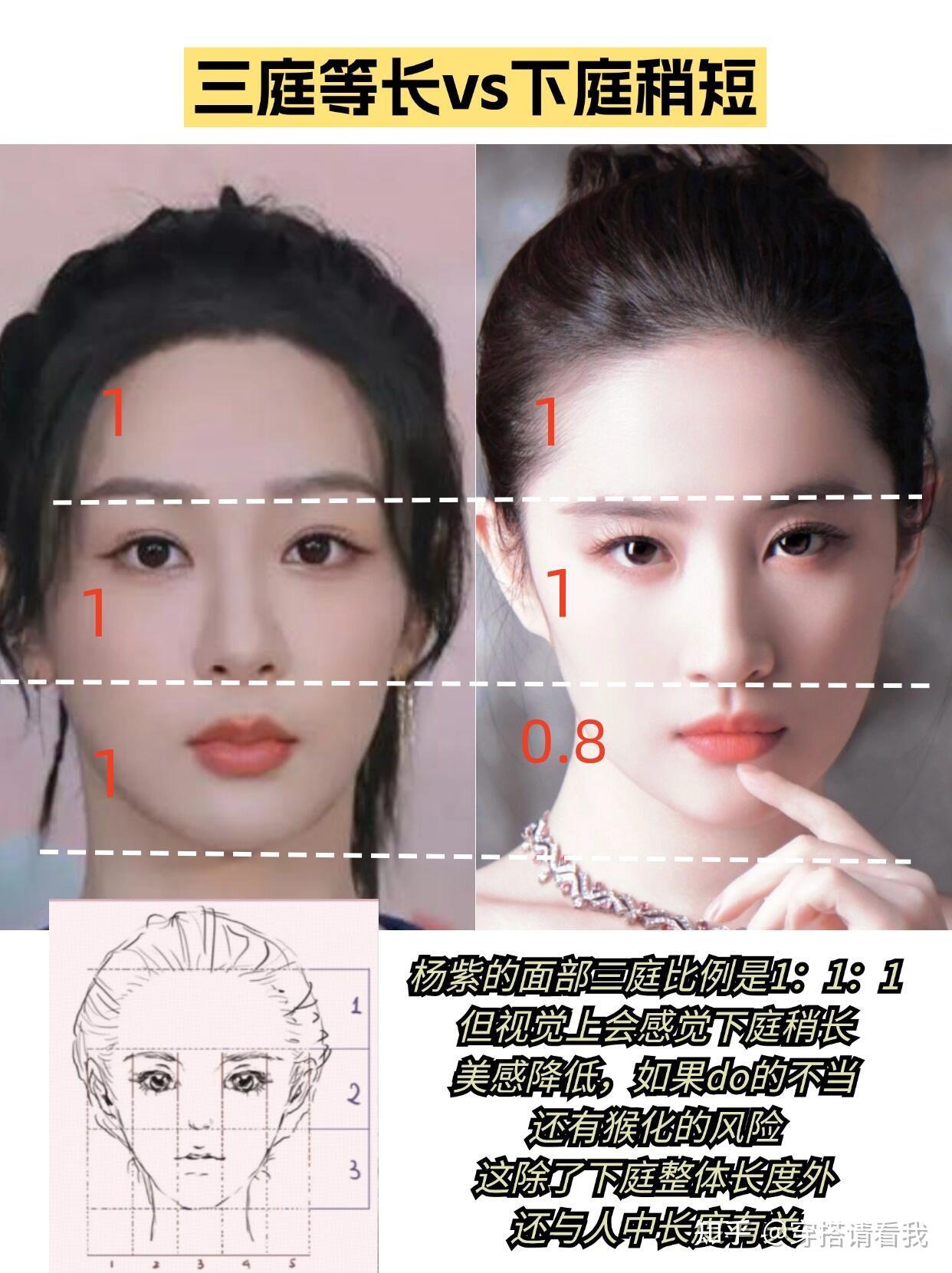 美女的下庭总是要短一点 - 知乎