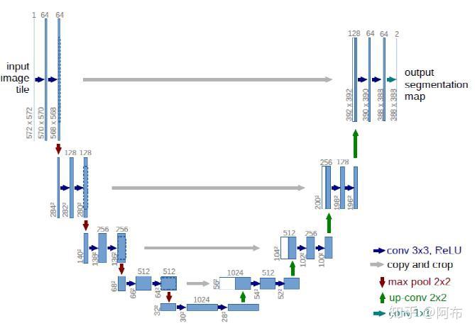 U-net医学影像分割实例
