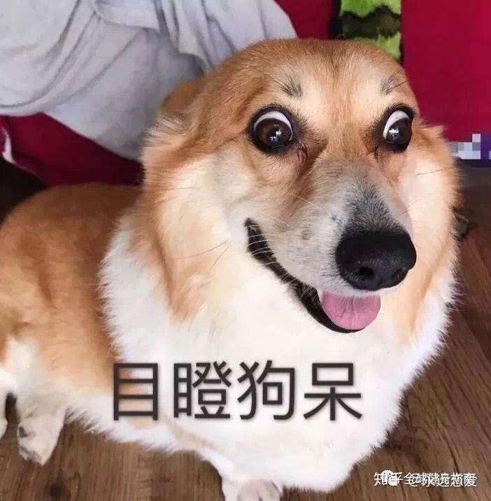 covermark和Bobbi brown虫草粉底液相比哪一