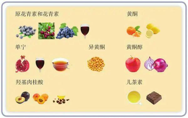多酚是不老莓的主要活性成分 - 知乎