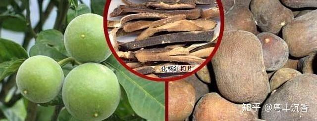 中药一字之差辨异同橘红与化橘红