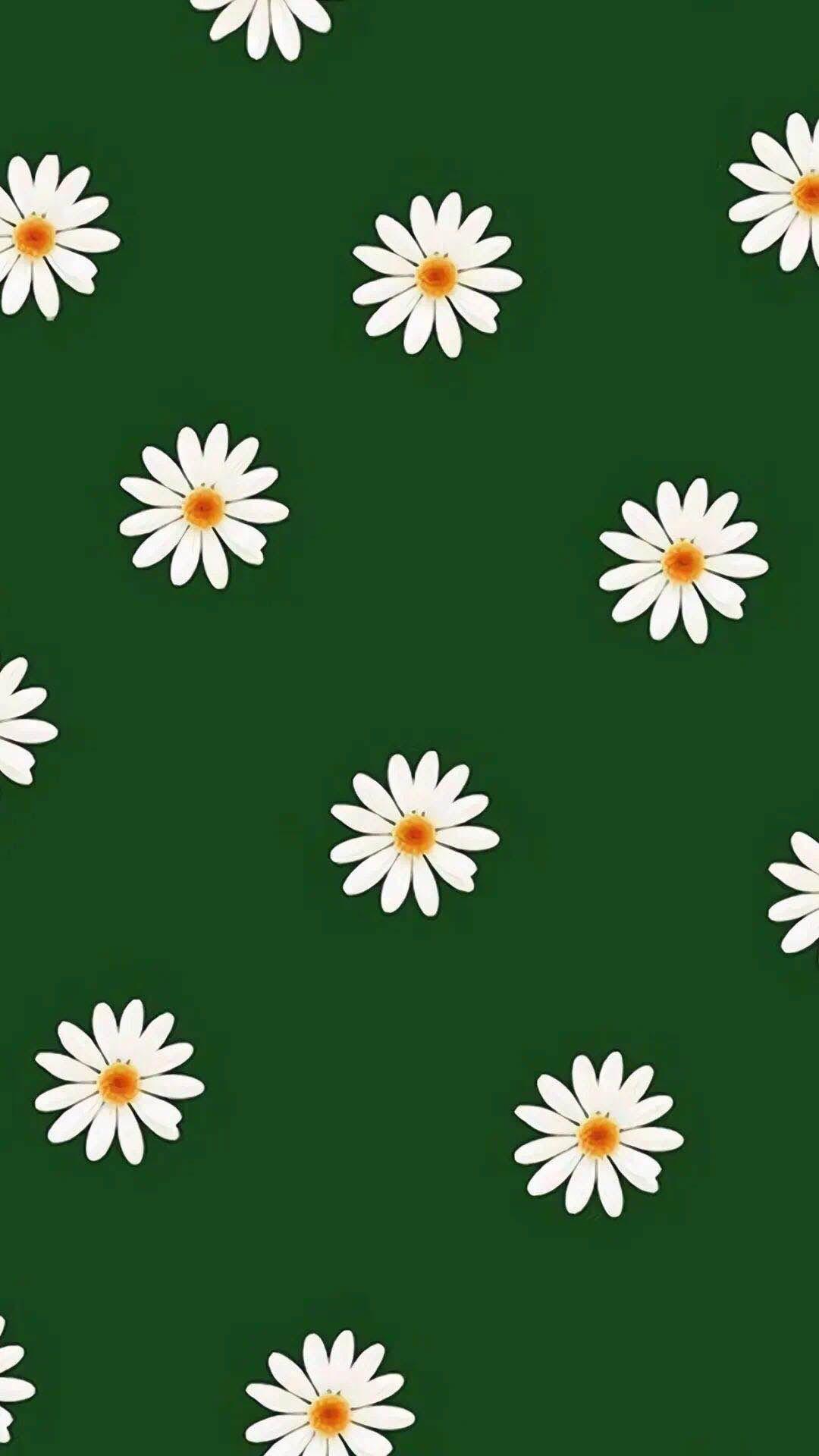 有什么绿色系的头像|壁纸?