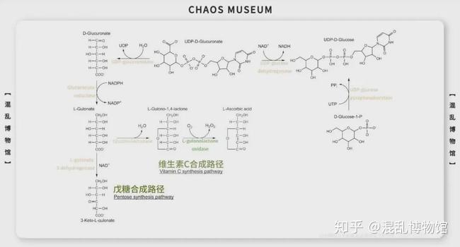 人类可以只吃肉不吃菜吗? 9 v2 2332f185bc5a4b047f736fe8dfcdd56c 720w