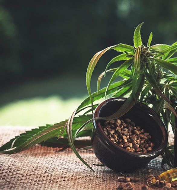 麻麻说 英国高档美容院开始推cbd Spa了 知乎
