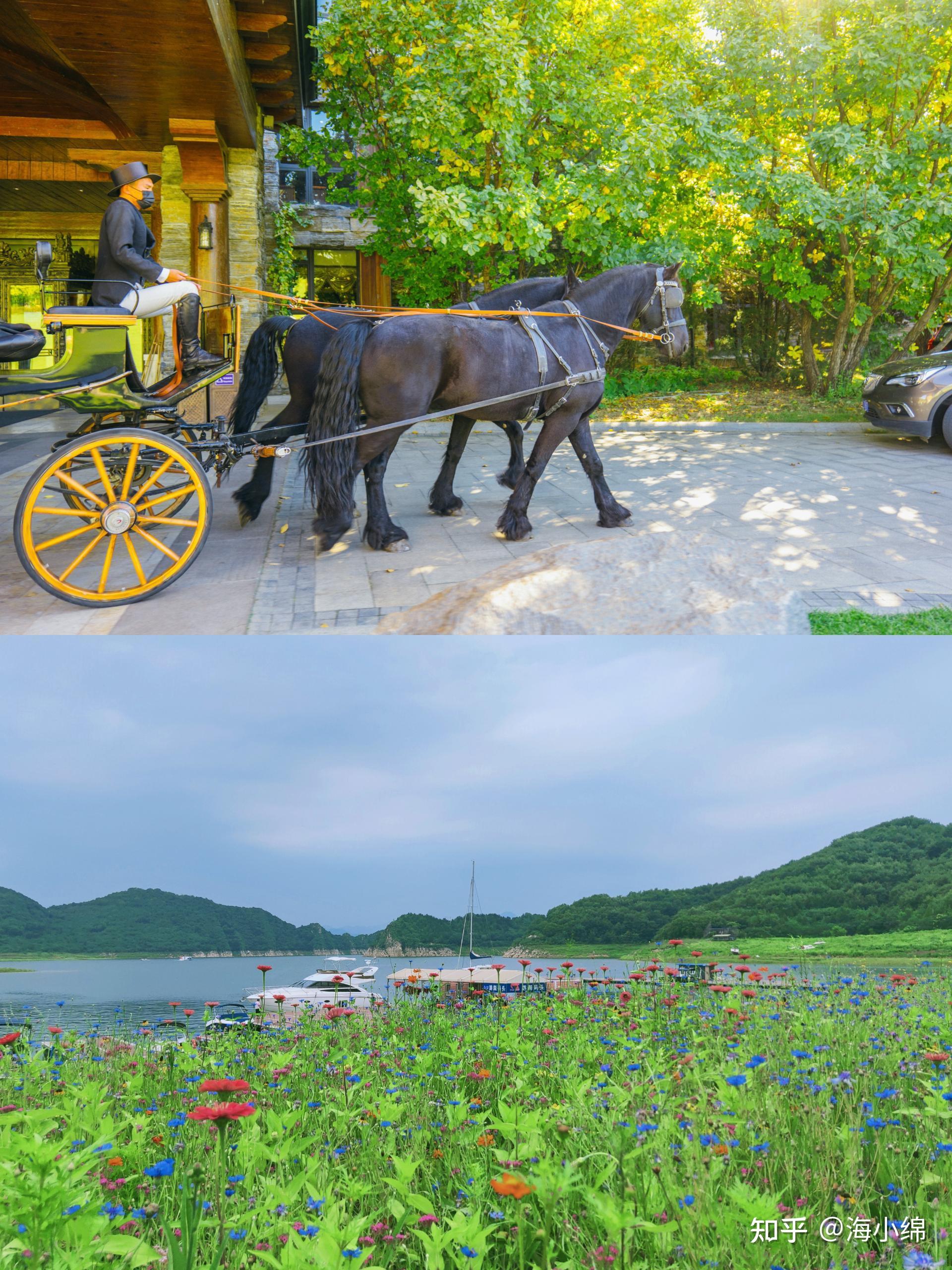 08:00-10:00 集合出發,乘大巴山地滑車10:00-12:00 梨樹溝休閒小鎮