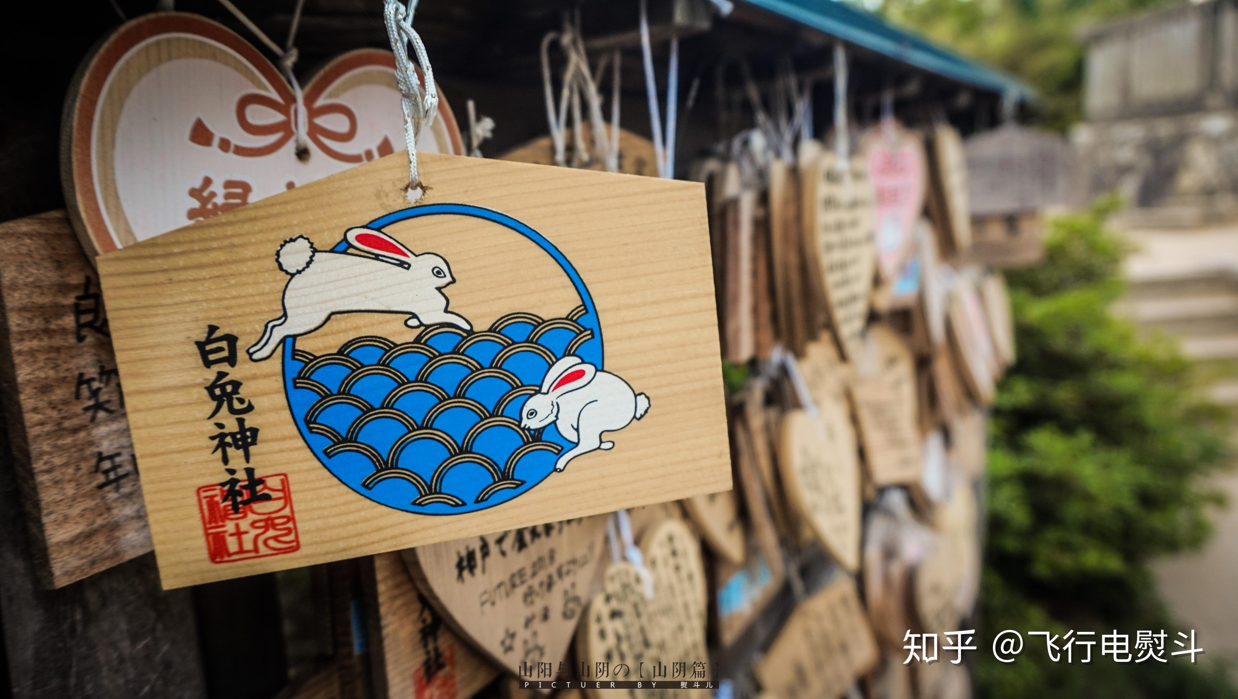 第二部分:因幡的白兔