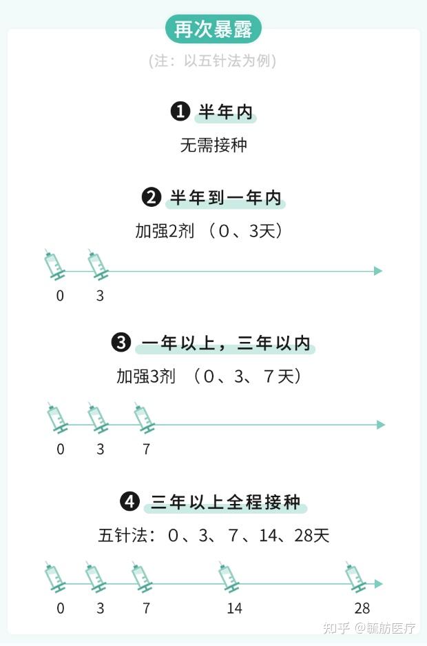 狂犬疫苗多长时间内打图片