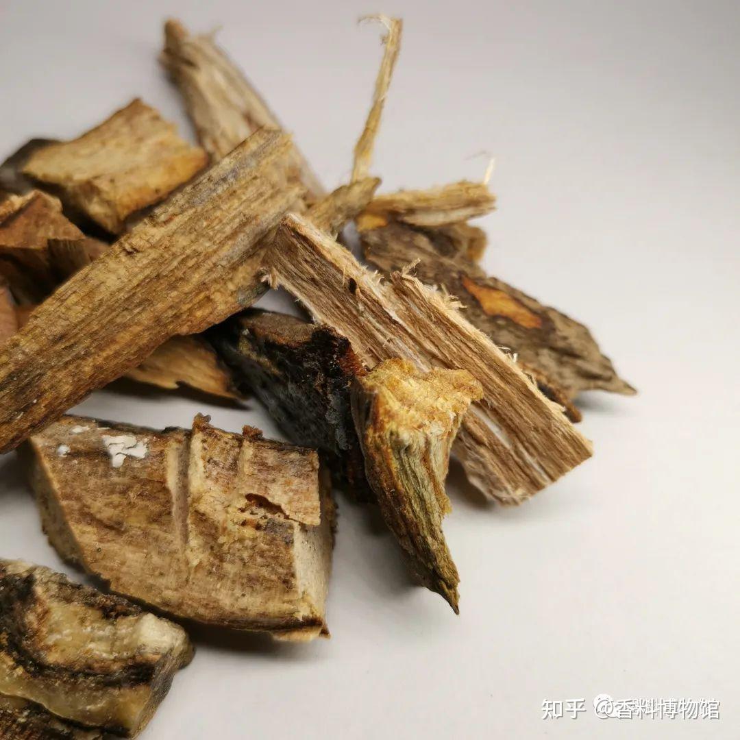 一种不神圣的神圣香料——秘鲁圣木 - 知乎