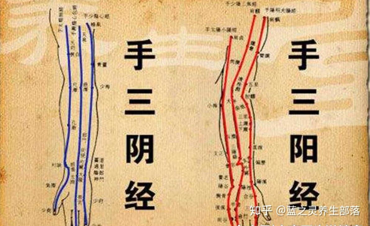 拍打手三阴,手三阳经以八拍(4拍)节奏拍打,以右手自左胸前向手臂内侧