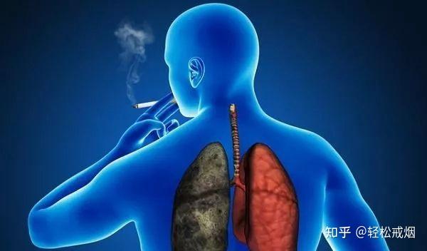 吸烟一年与戒烟一年身体都有什么变化看完你会戒烟的