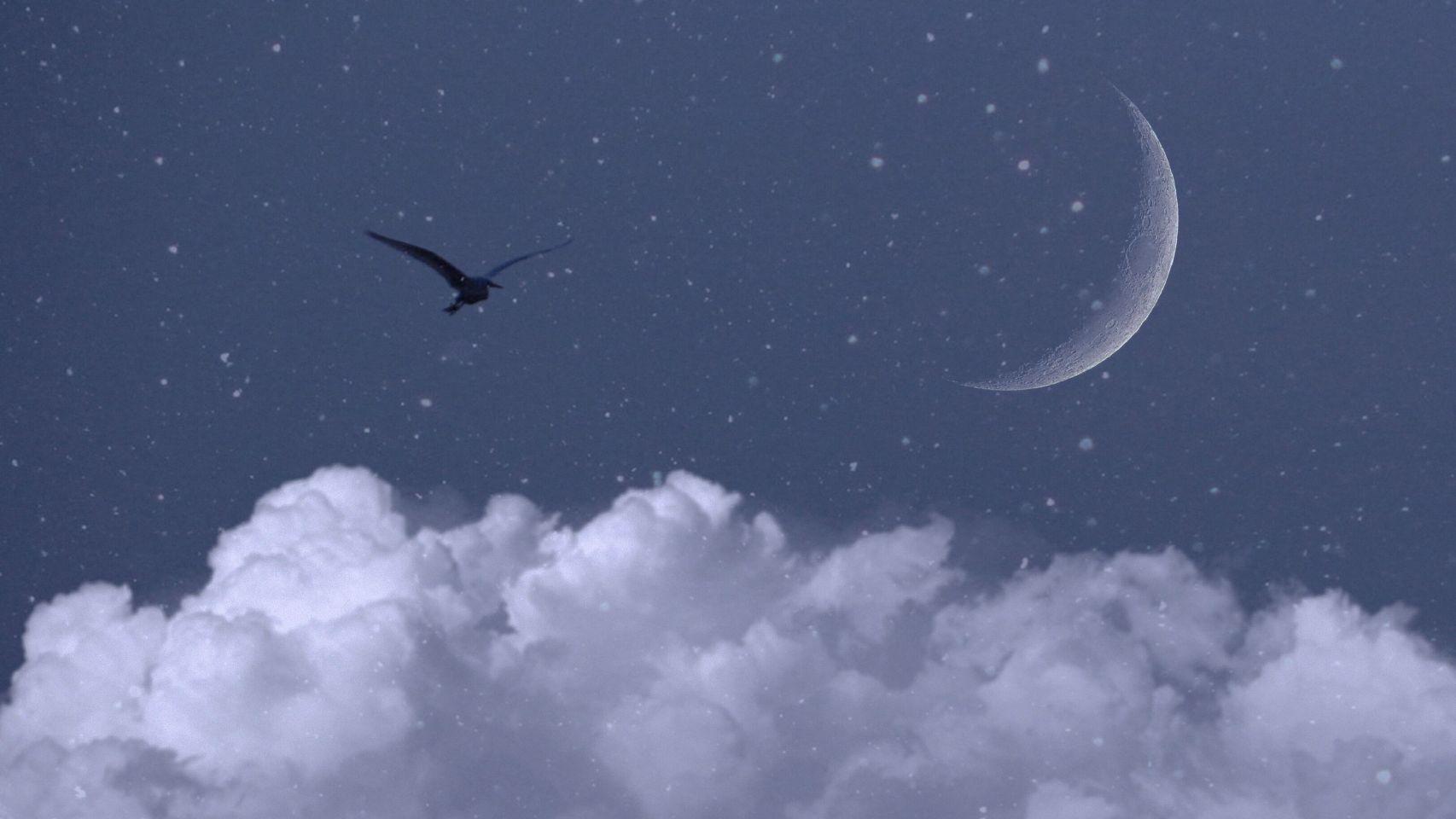 哪些手机壁纸是你不舍得换的