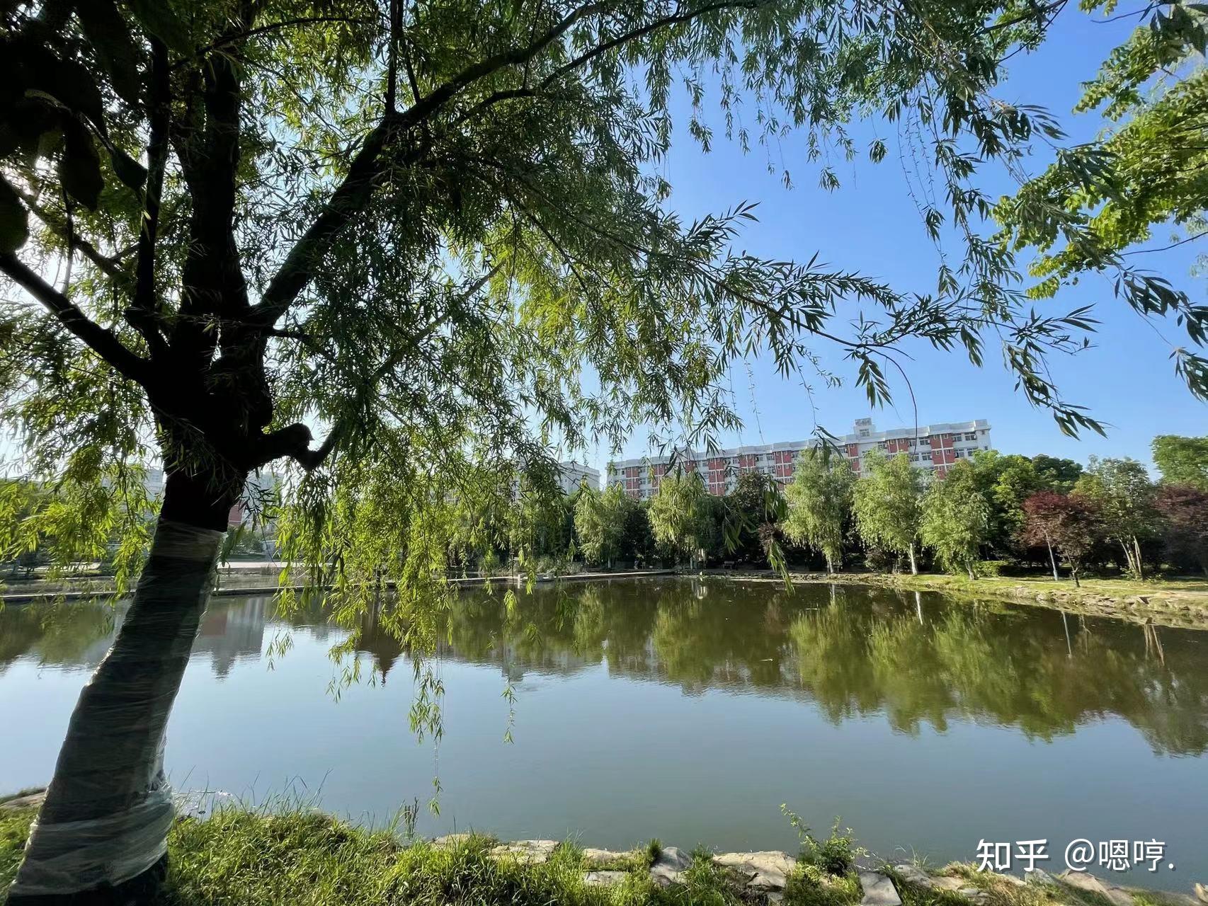 本科助学班之皇家汉口学院!