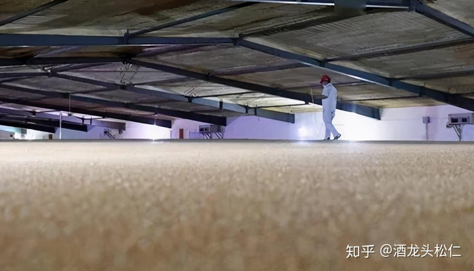 啤酒生产麦芽干燥过程通风的具体要求是什么