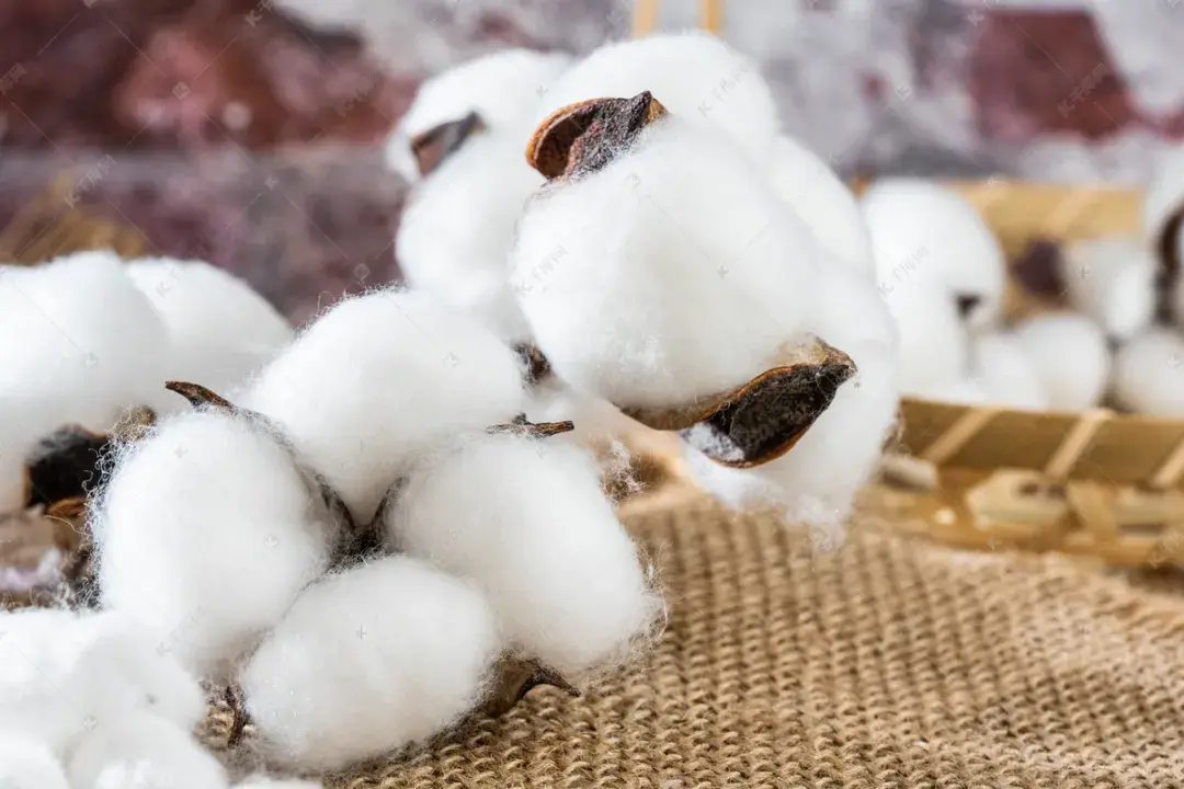 新疆棉花风波始末我支持新疆棉花