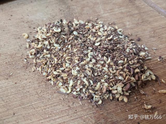 沙参麦冬丸的正确配方 v2-23c214019653804610da2b138d9a9036_r.jpg