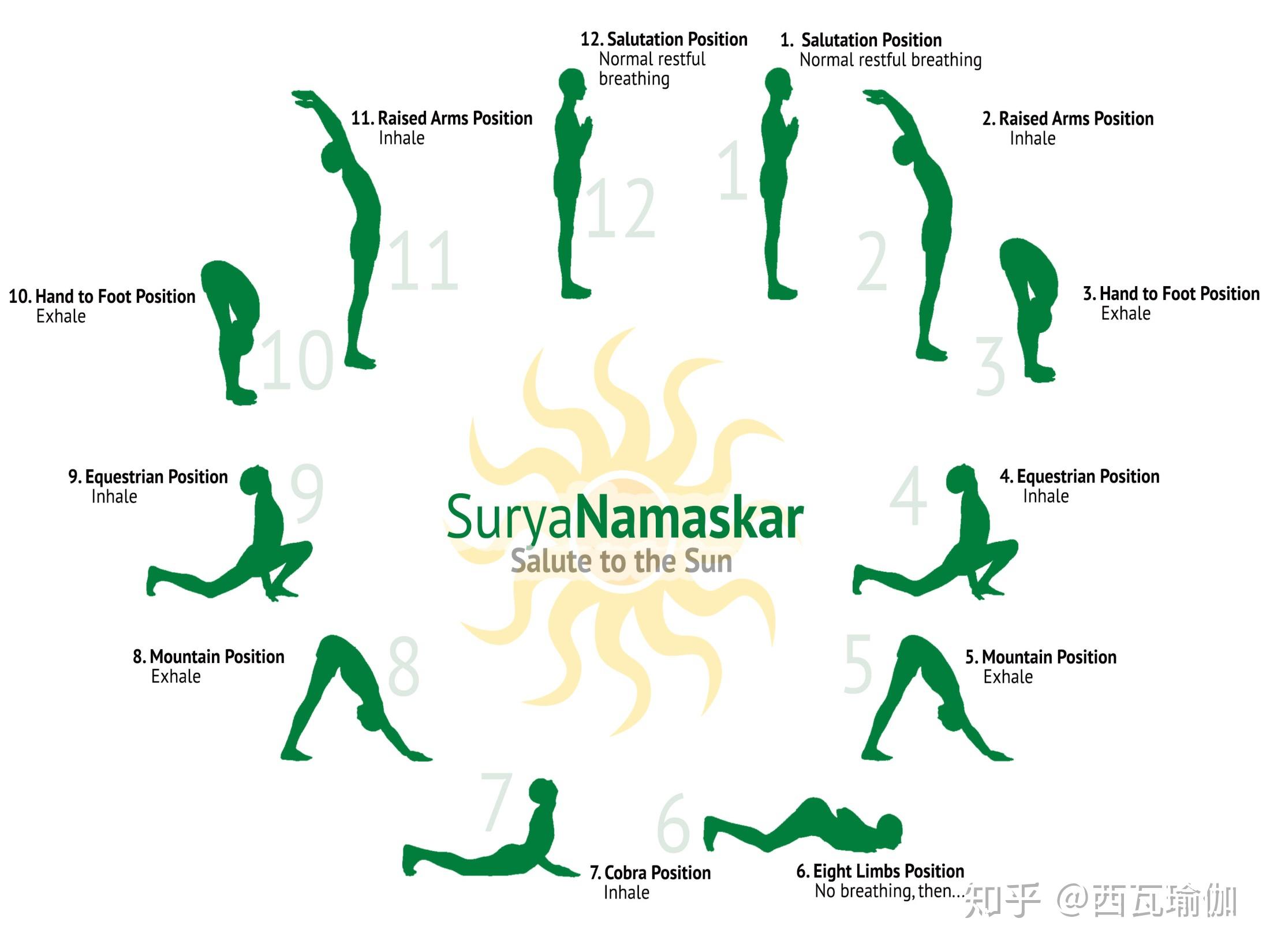 哈他瑜伽拜日十二式图片