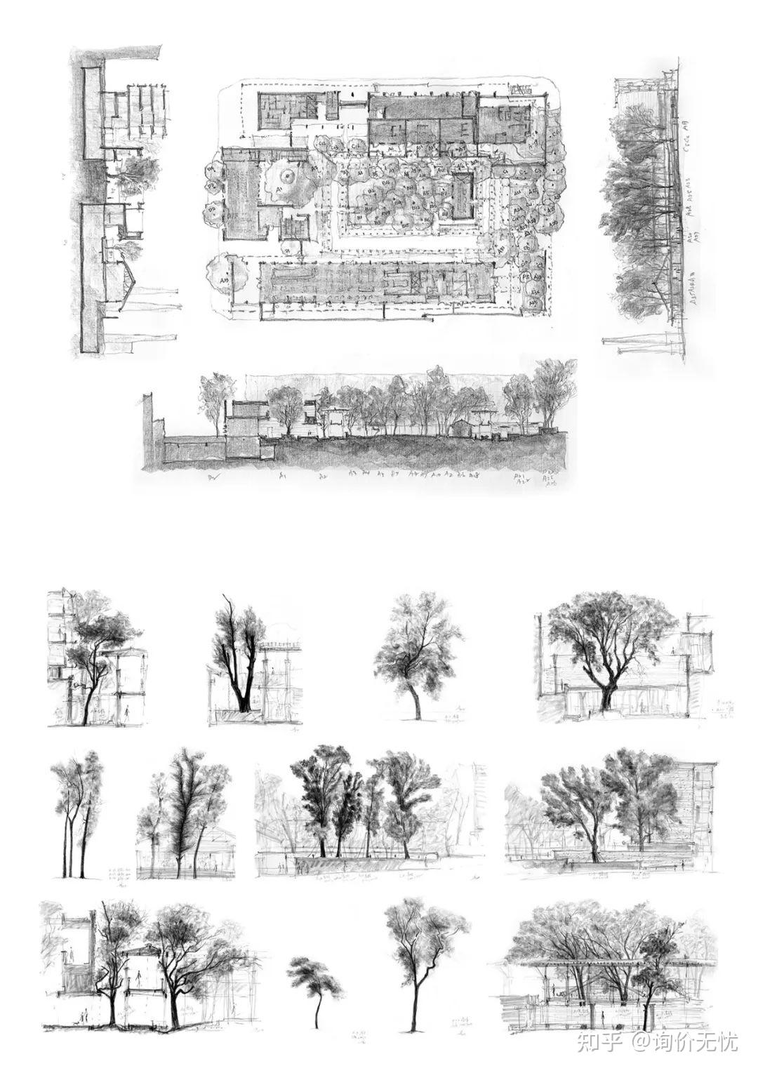 建筑师为了保留一棵树可能付出的代价是什么