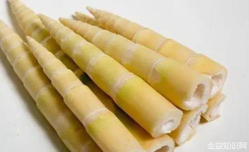 笋是竹子的嫩芽吗 v2-23f7ddcea1cc433a571f6d816d232bc8_1440w.jpg?source=172ae18b