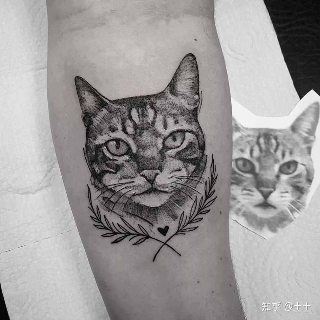 猫咪纹身大赏