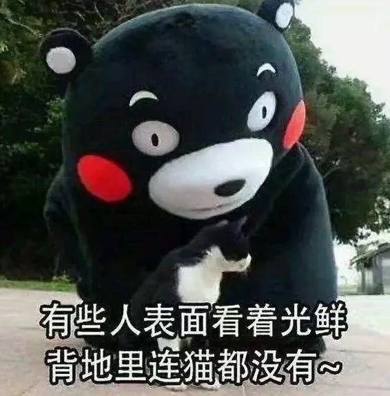 相册和表情包也全部都是别人家的猫猫狗狗~并将"有朝一日养一只