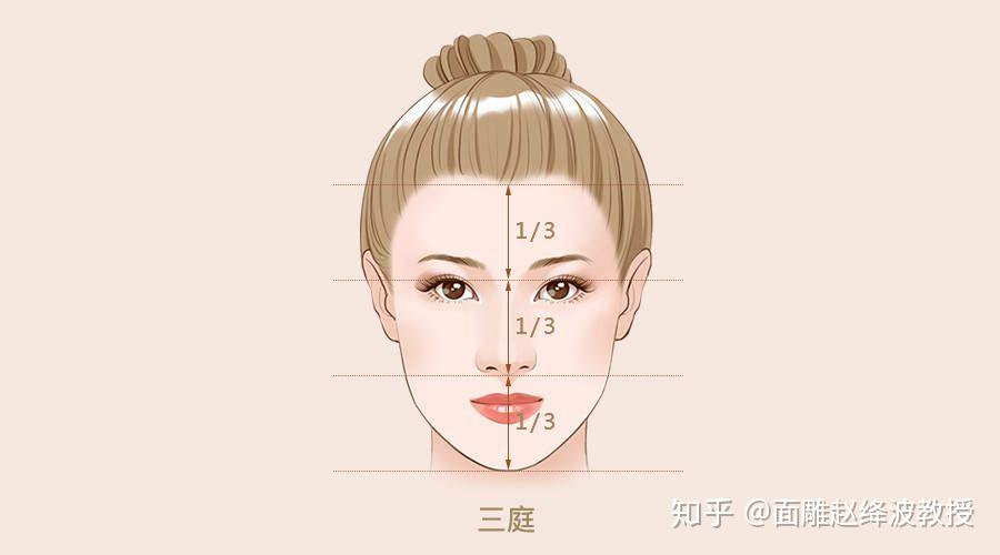 人的面部中有讲究到三庭,所谓三庭就是指脸的正面,上,中,下面部各占整