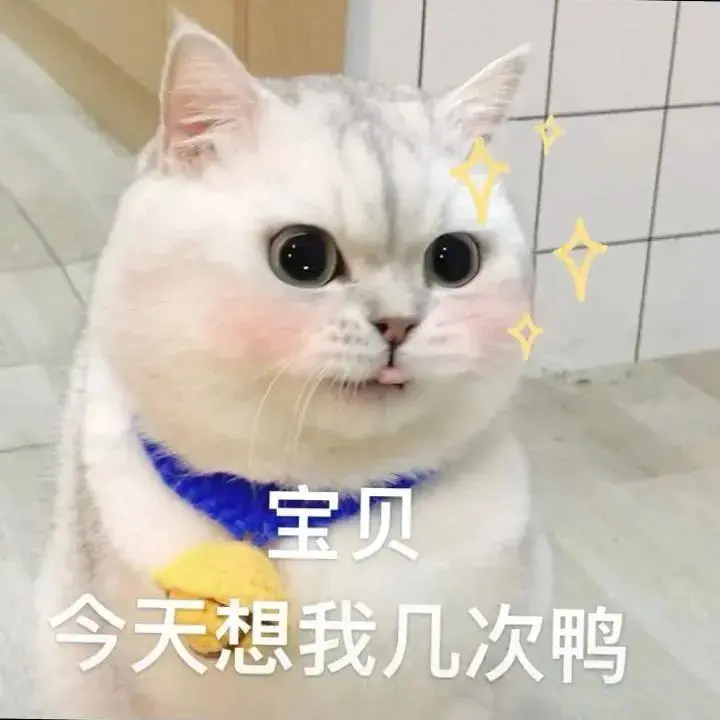 111张好看的[猫咪动图]表情包