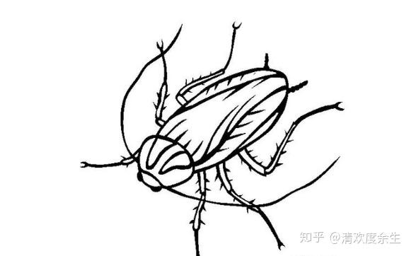 v2-2406de9dc68f4db6e76ce97d029eea06_r.jpg