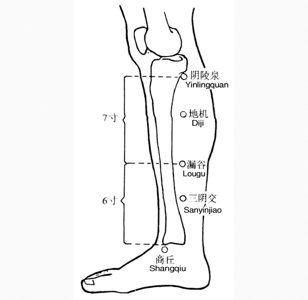 注意:揉腿和捏腿时动作不要太大,也不要太过用力,略微有酸痛感即可.