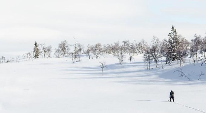 春有百花秋有月夏有凉风冬有雪