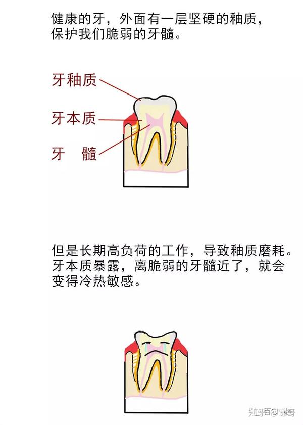 你知道吗?你的牙正在上演一出《都挺好》