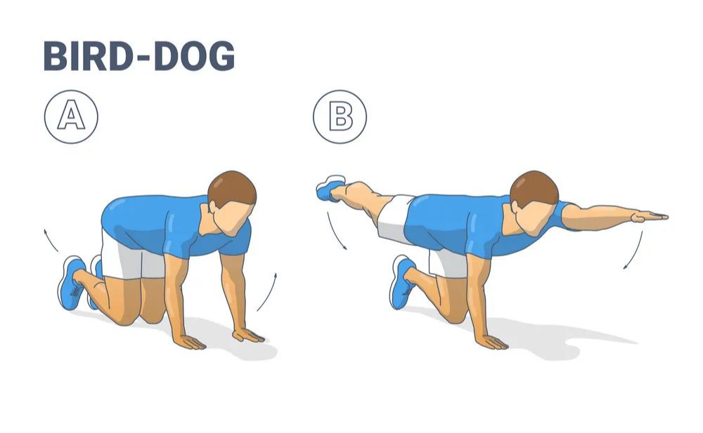 箭步蹲(可徒手)