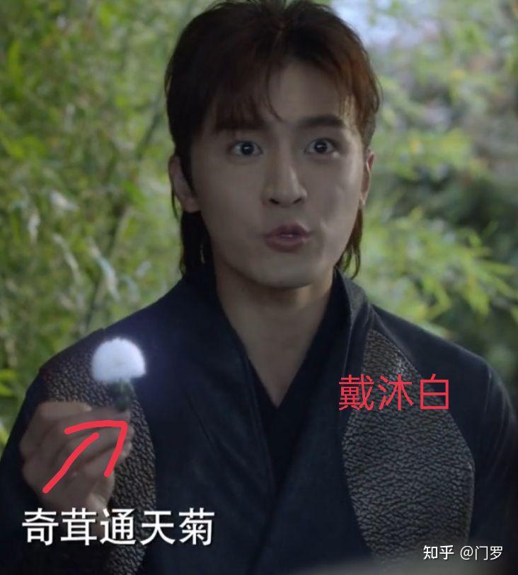 五毛钱特效(小说斗罗三提到冰火两仪眼是龙神战争结束后,冰龙王和