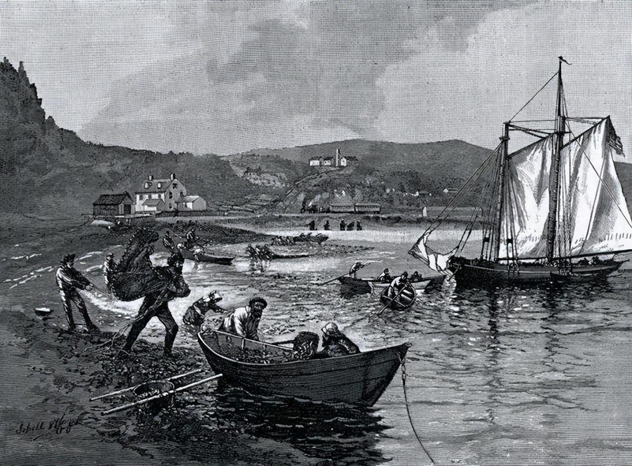 16世纪聪明的欧洲渔民掌握的保鲜技术让鳕鱼干能够保存很久